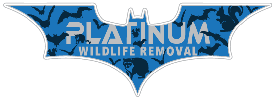 Animal Removal Van Wert County